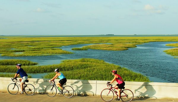 Charleston Bicycle Tours