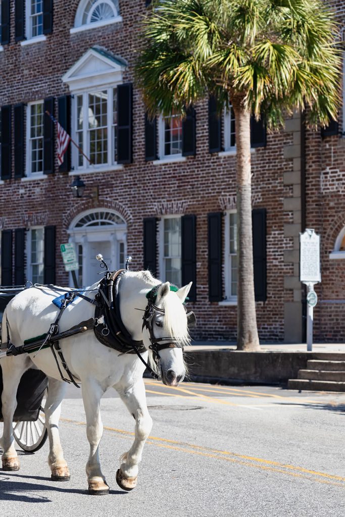 horse-guided-tour-in-historical-downtown-charleston